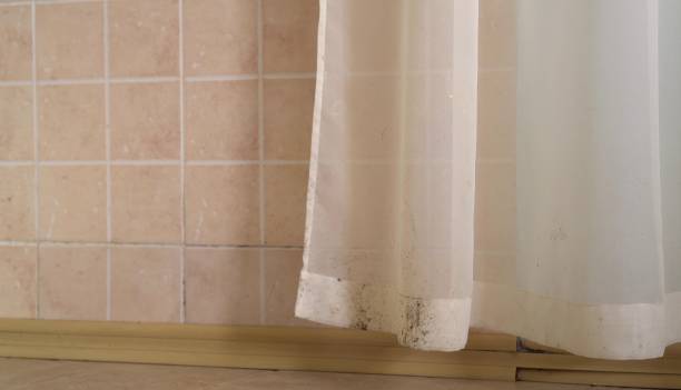 Best Mold Remediation for Vacation Homes  in Tega Cay, SC