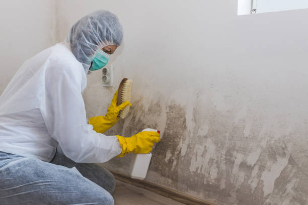 Mold Documentation for Insurance Claims in Tega Cay, SC