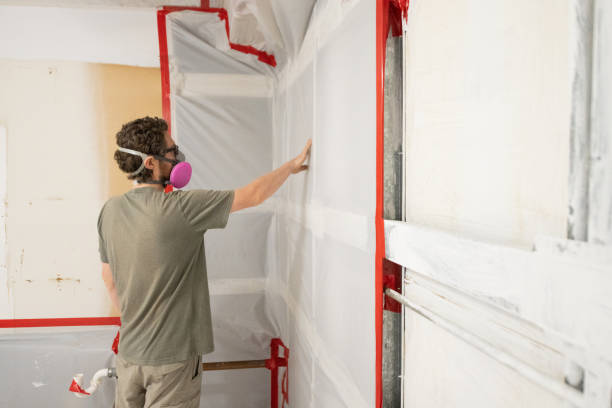 Best Mold Remediation for Healthcare Facilities  in Tega Cay, SC