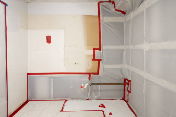 Best Environmental Consulting for Mold Prevention  in Tega Cay, SC