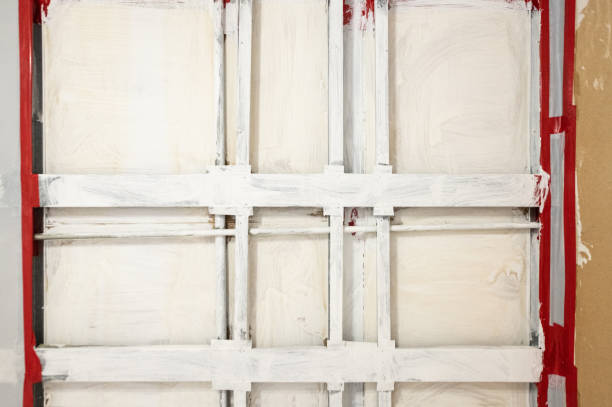 Professional Mold Removal in Tega Cay, SC