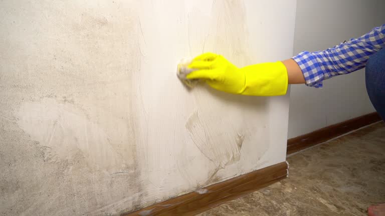 Mold Remediation for Vacation Homes in Tega Cay, SC