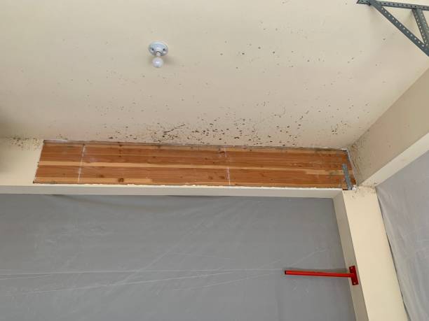 Best Flood Damage  in Tega Cay, SC