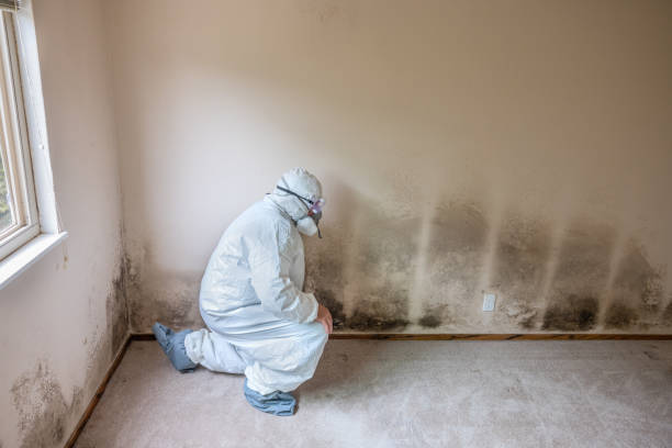 Forensic Mold Investigation in Tega Cay, SC
